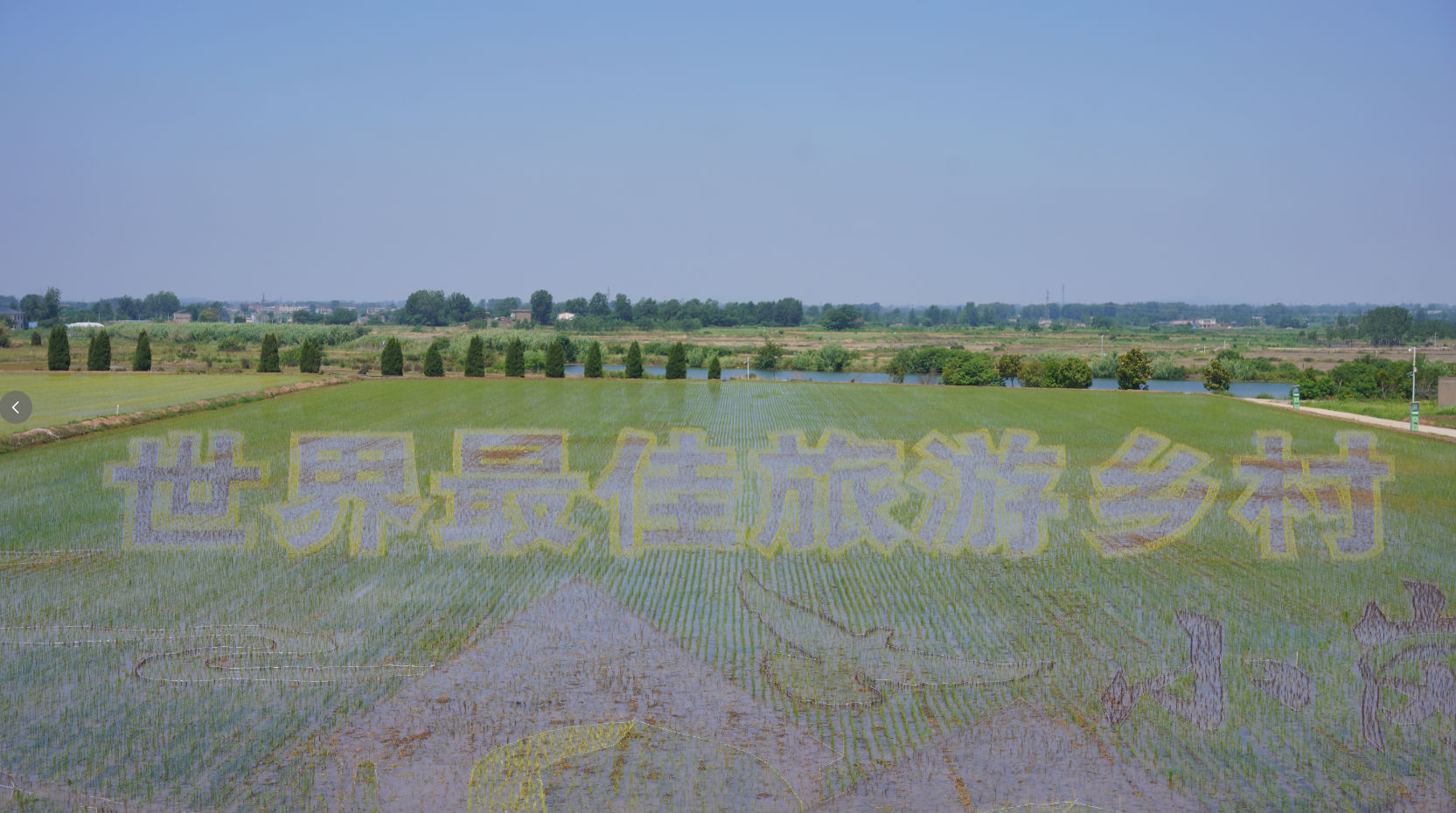 f6161fb4d343e69be014859c9c9b1f72.png