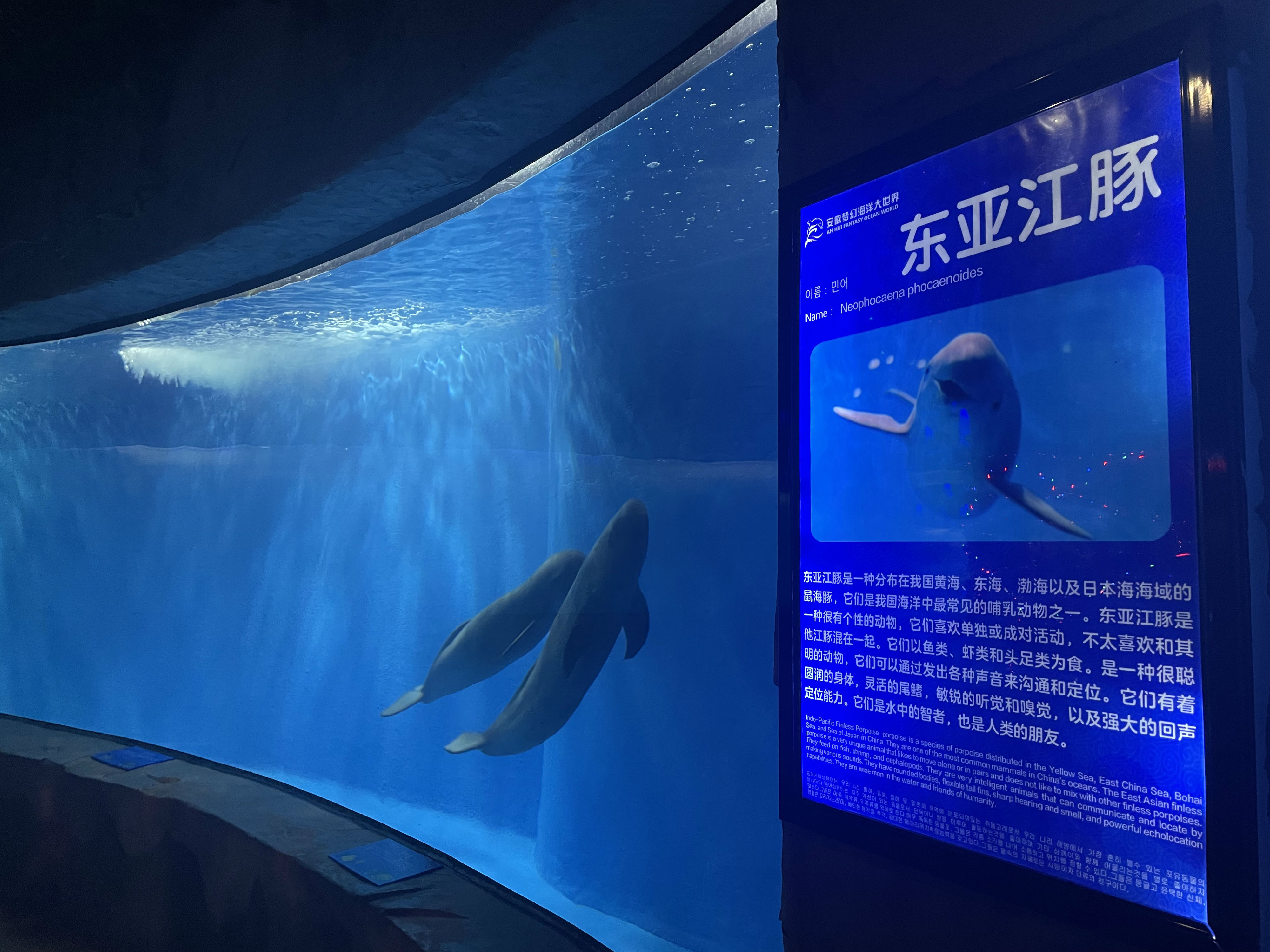 微信图片_20250620152937.jpg